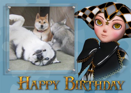 Photo greeting card with birthday clown and photo of dogs. Photo greeting card with birthday clown and photo of dogs.